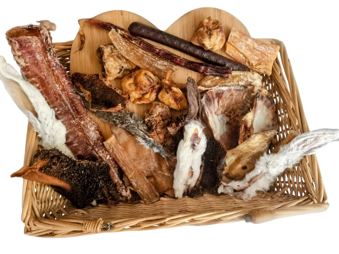 Healthy Chewing For Dogs