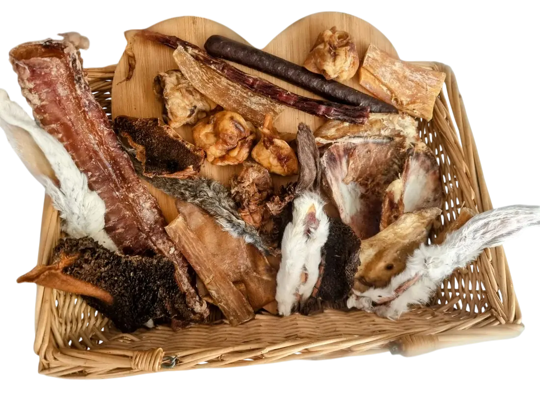 Healthy Chewing For Dogs