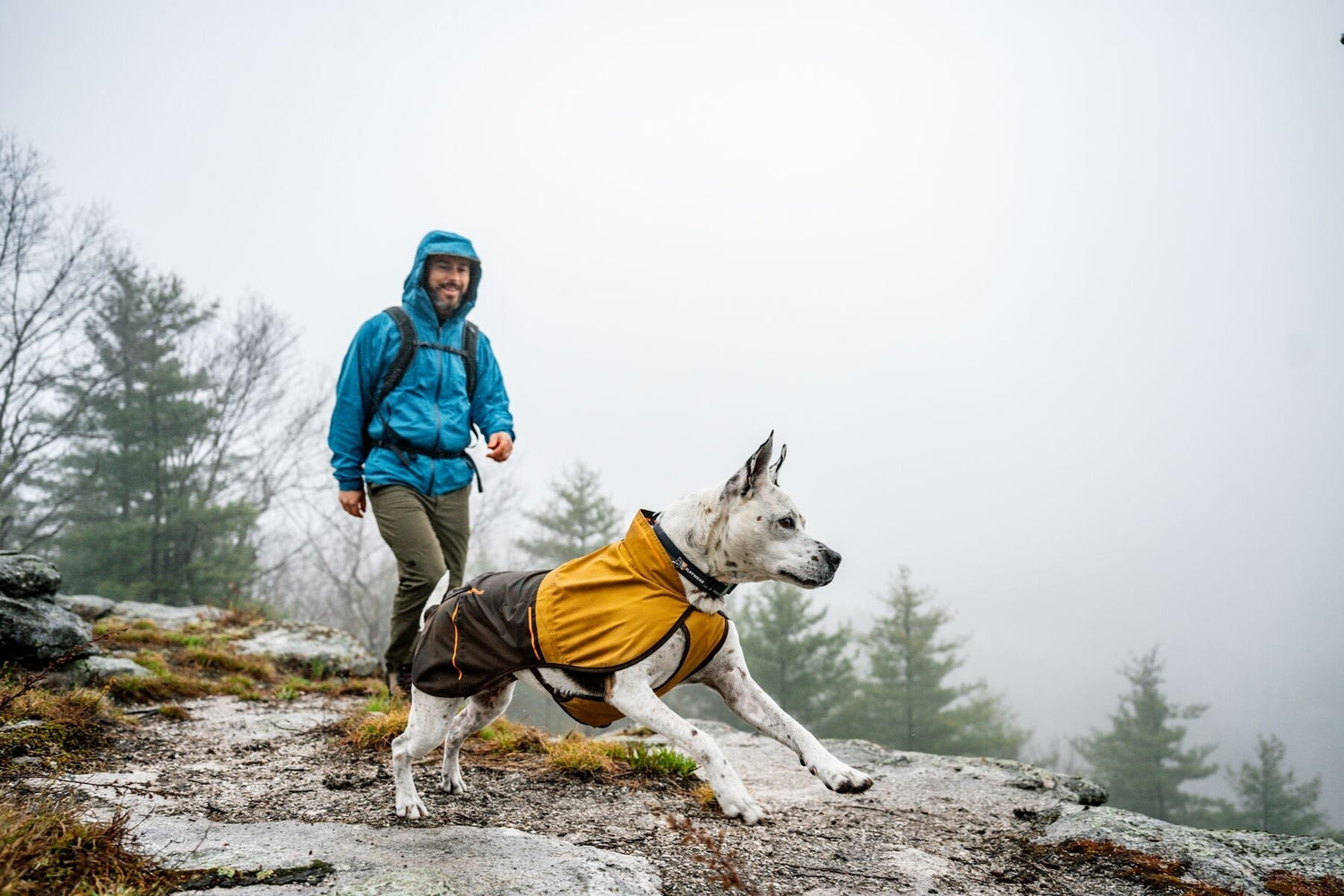 Winter Dog Walking & Hiking: Ruffwear Gear for Cold and Wet Weather