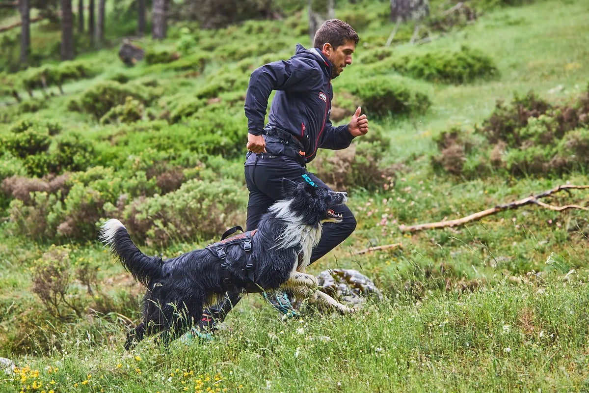 Adventure Checklist - Wiggle and Wag
