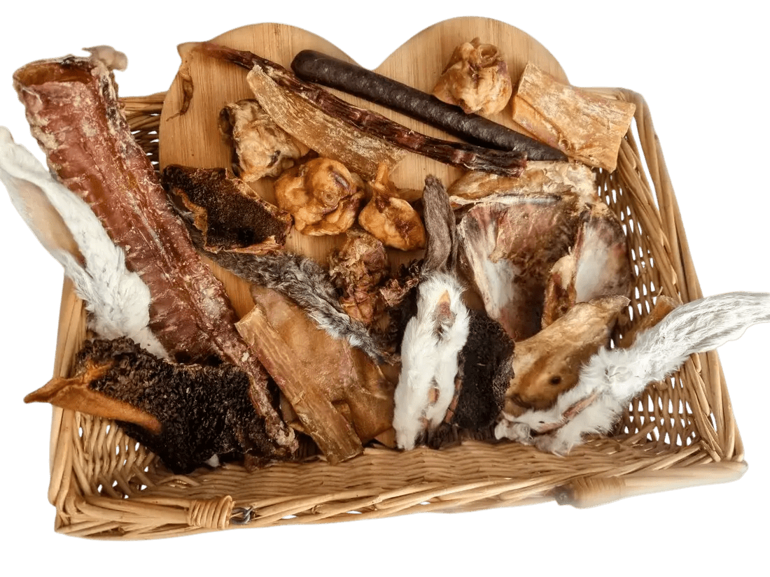 Healthy Chewing for Dogs - Wiggle and Wag