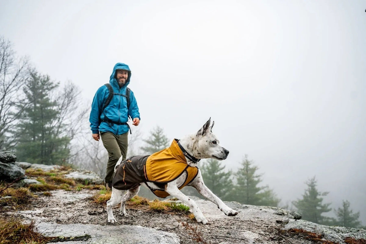 Winter Dog Walking & Hiking: Ruffwear Gear for Cold and Wet Weather - Wiggle and Wag