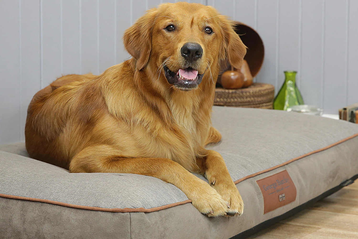 George Barclay Dog Mattresses