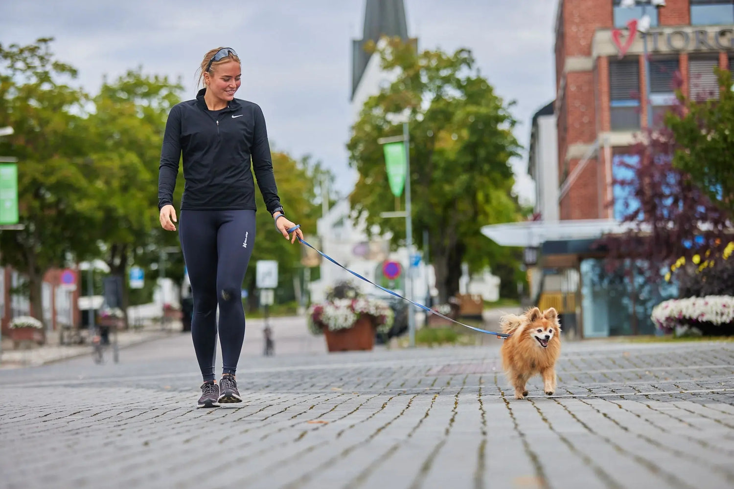 Non-stop dogwear leash