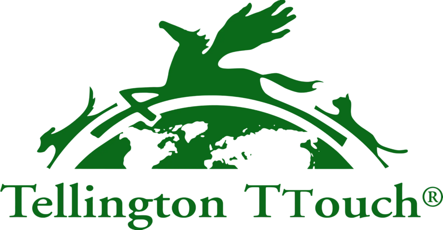 Tellington TTouch Products