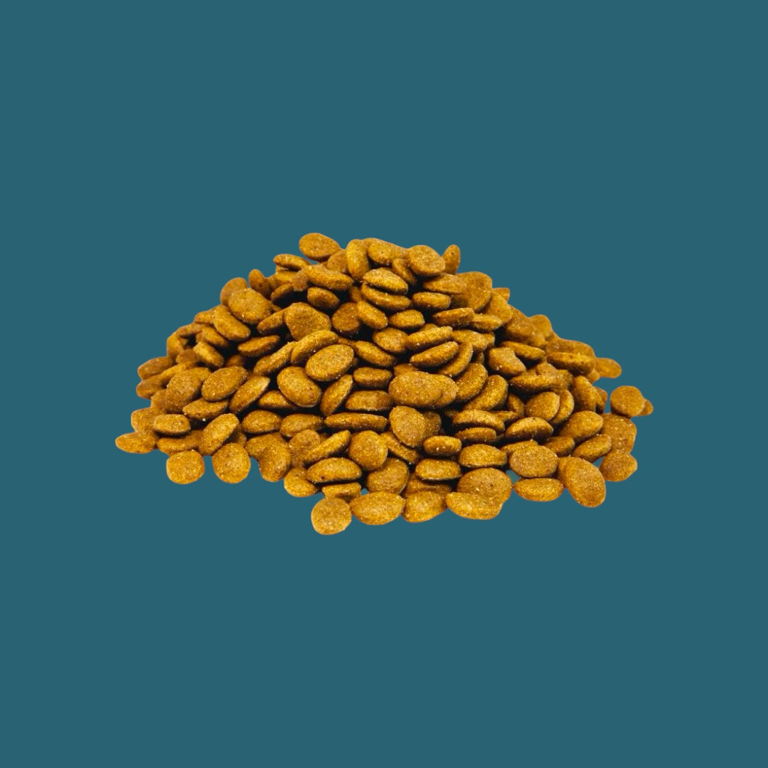Dog Food, Frome, Somerset