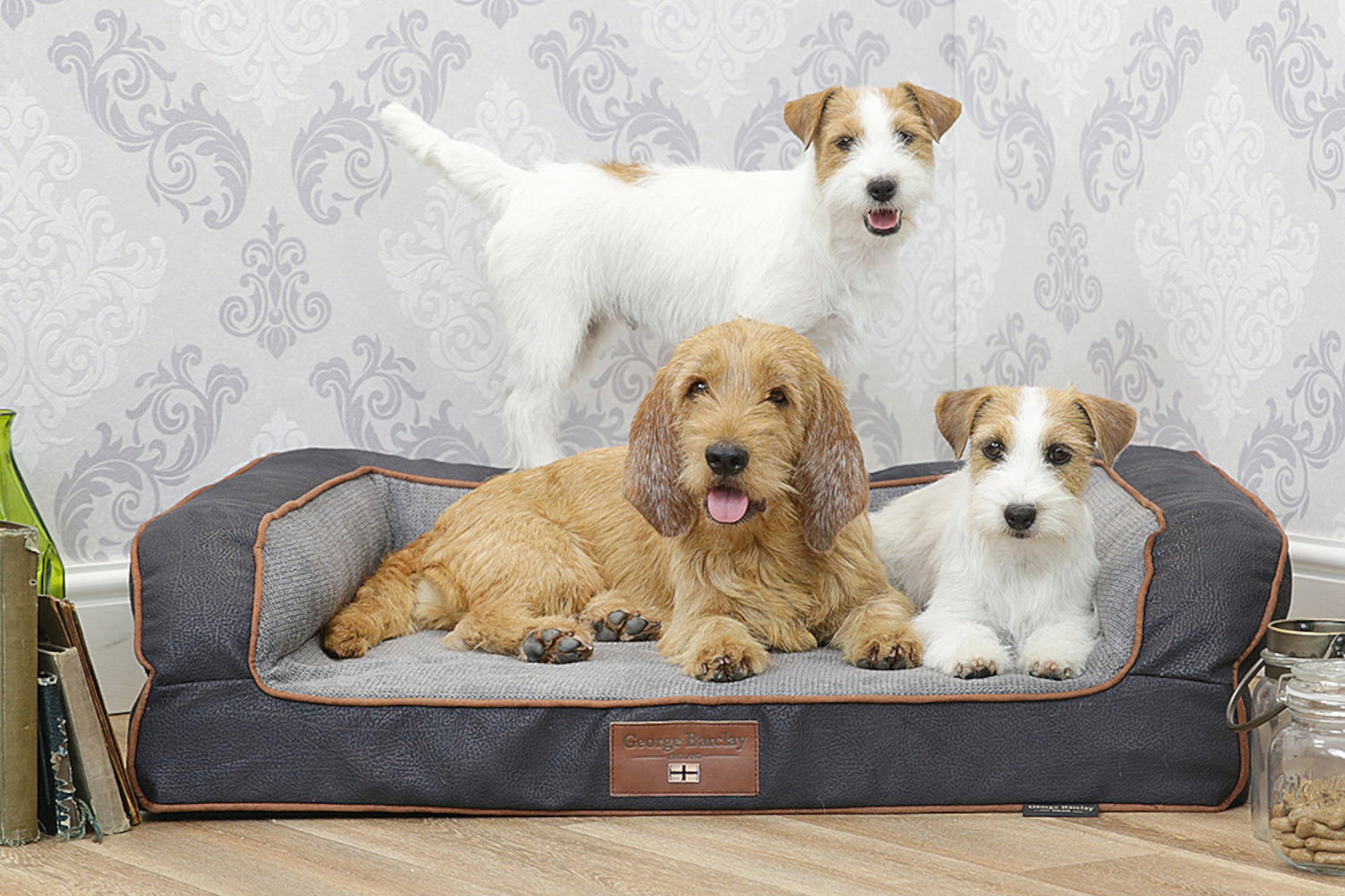 George Barclay Dog Sofa Beds