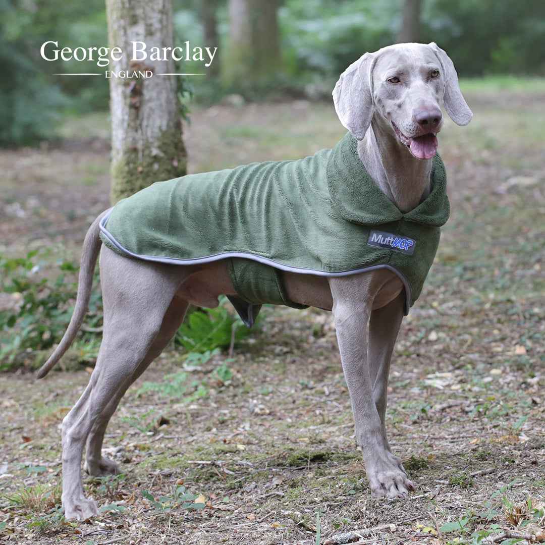 George Barclay MuttMOP® Dog Drying Robe