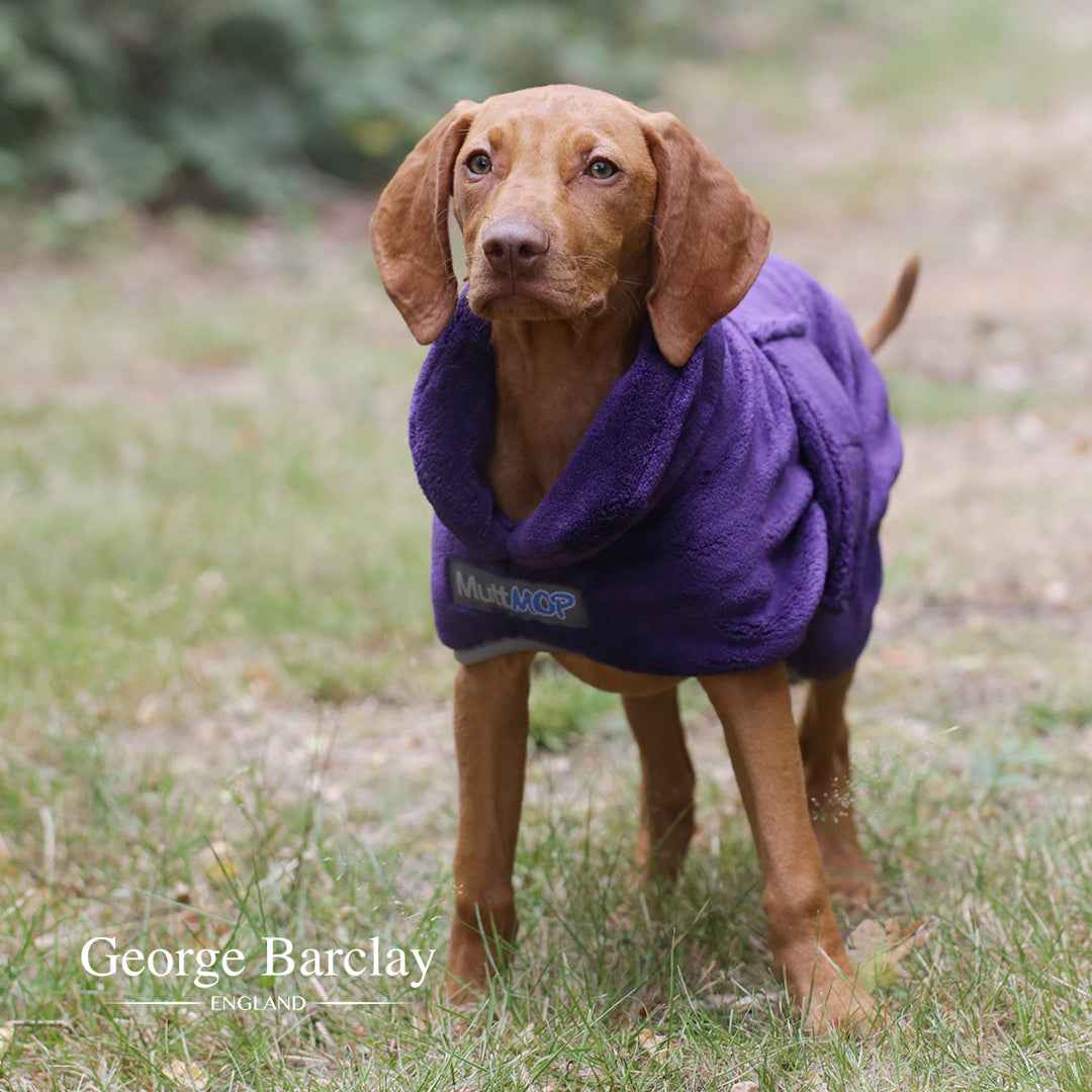 George Barclay MuttMOP® Dog Drying Robe