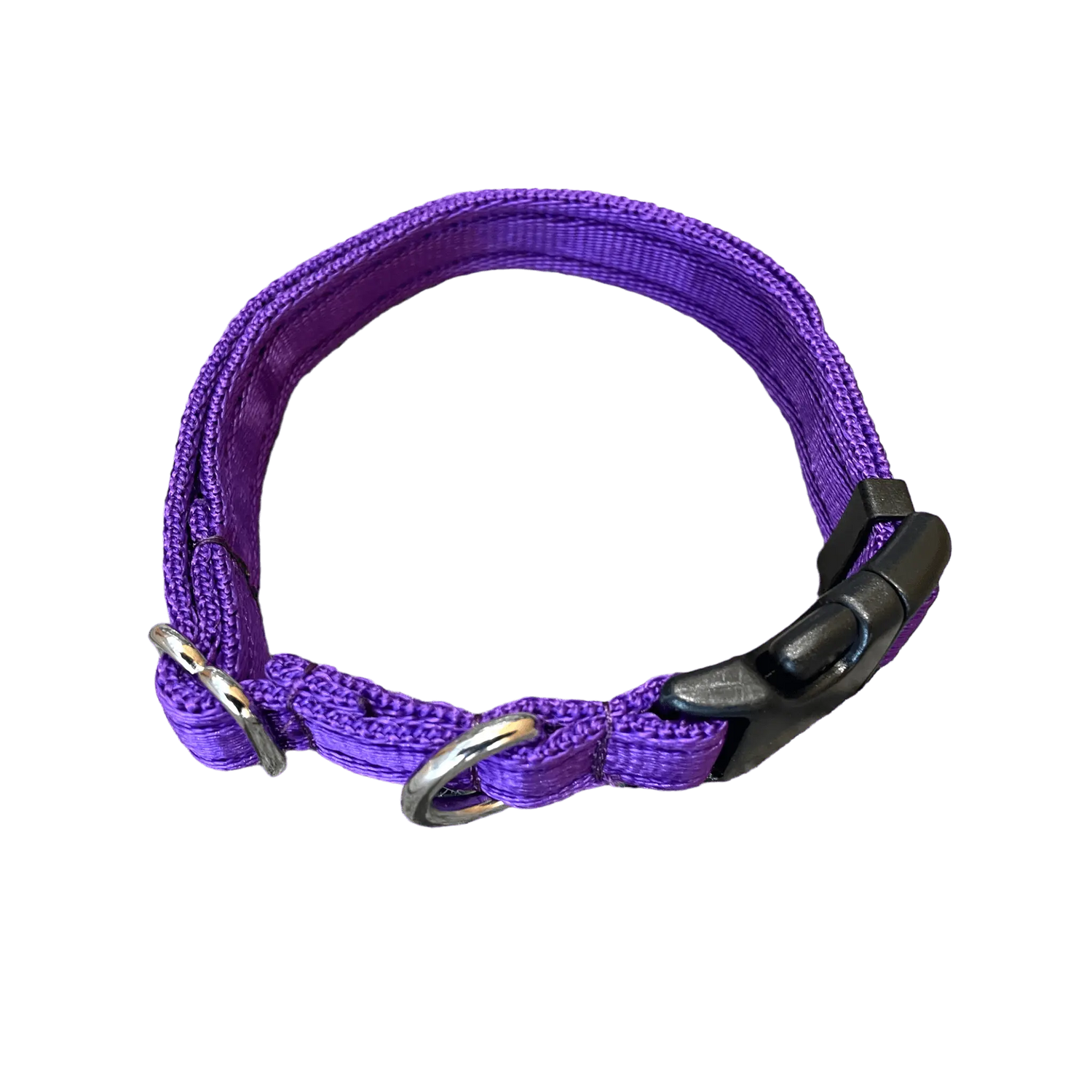 Adjustable Dog Collar Purple