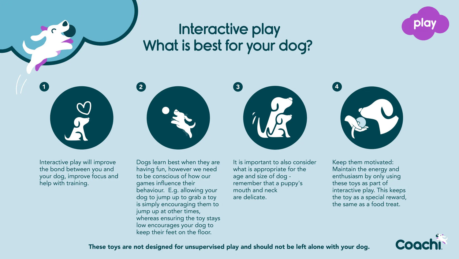 Infographic explaining benefits of interactive play with dogs using CoA Coachi Chase & Treat for bonding and training.