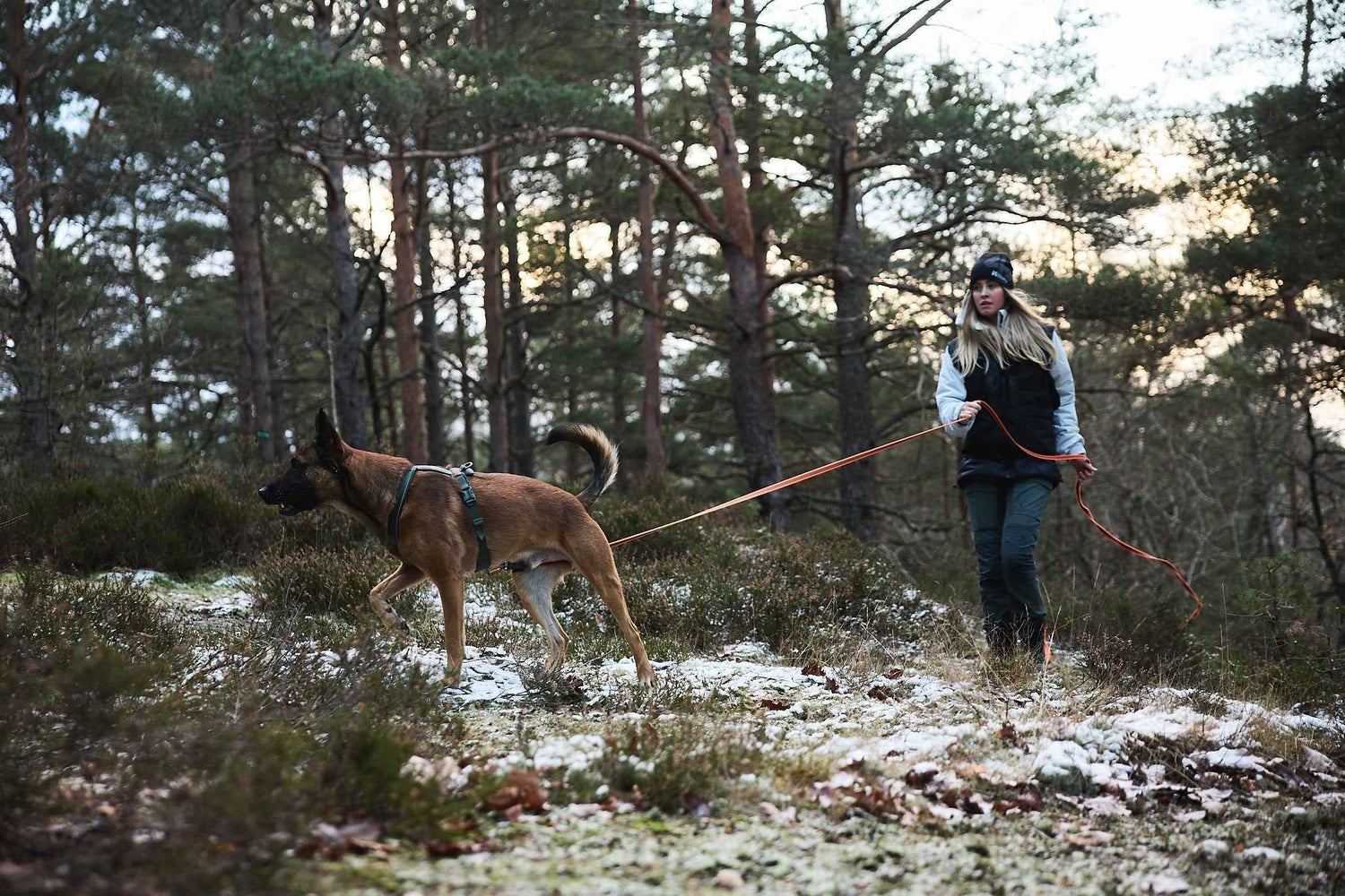 non-stop dogwear friction long line