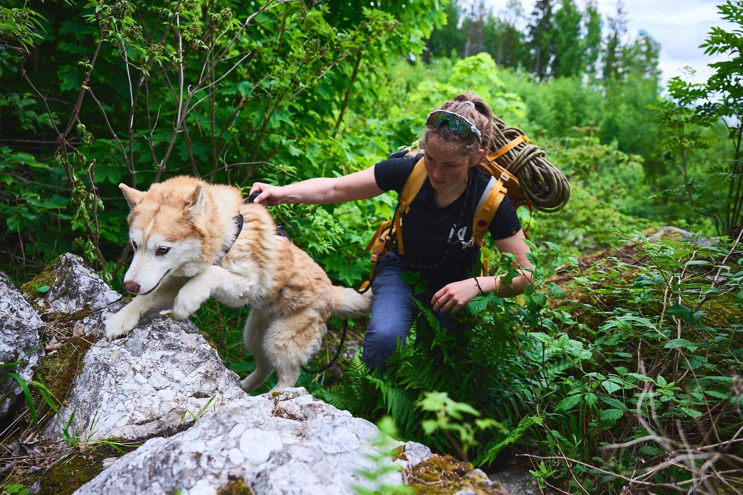 Dog wearing Rock Harness Long on uneven terrain