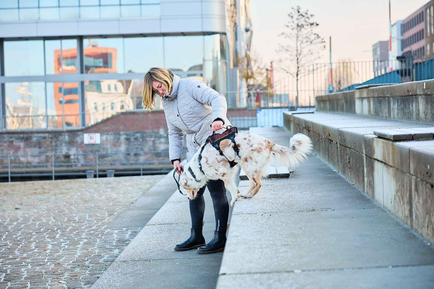 Non-stop dogwear Rock Harness Long - Long Dog Harness