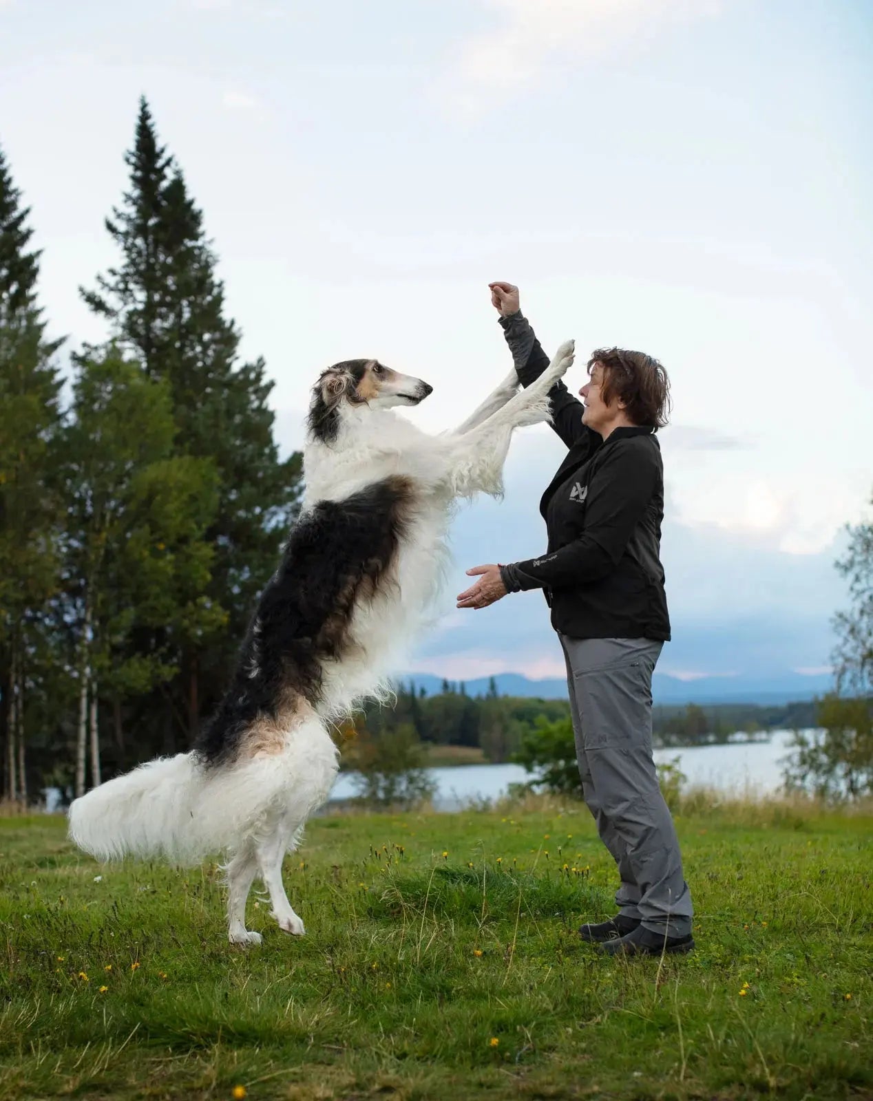 Non-stop dogwear Trail Quest Pants Women’s Non-stop dogwear