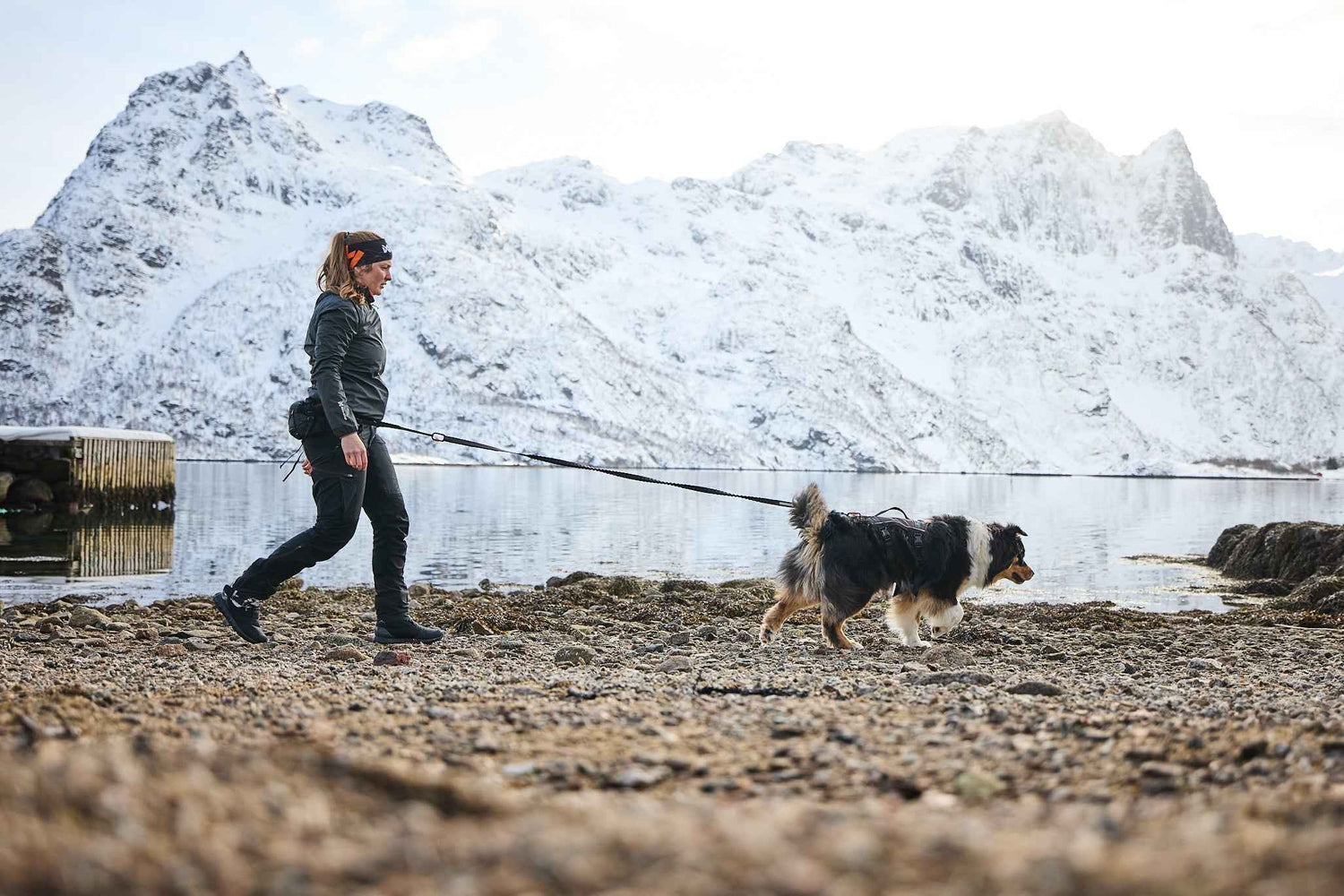 Non-stop dogwear Rock Harness Long - Long Dog Harness