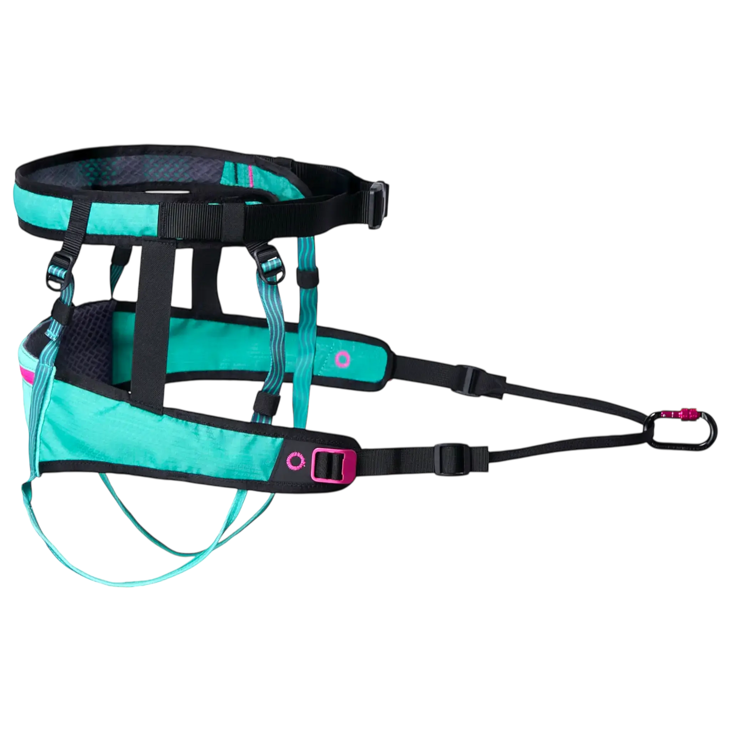 CaniX Belt 2.0 front attachment carabiner