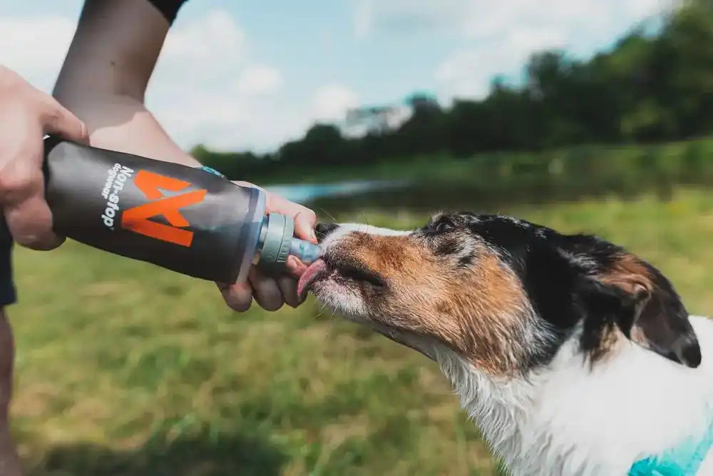 Non-stop dogwear Soft Flask 1