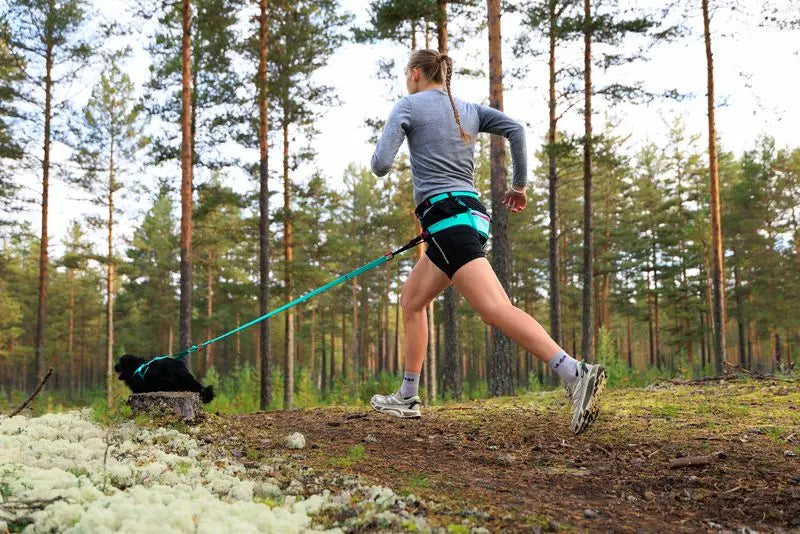 Non-stop Dogwear CaniX Belt 2.0 canicross running belt