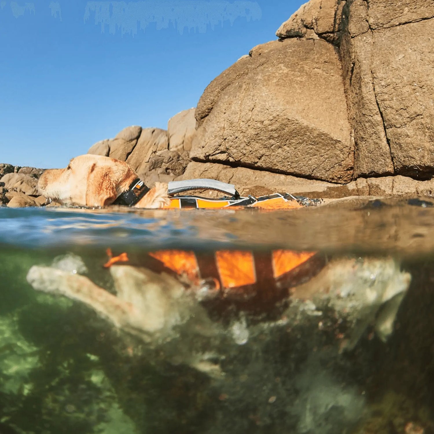 Non-stop dogwear Safe Life Jacket 2.0 - Life Jacket for Dogs