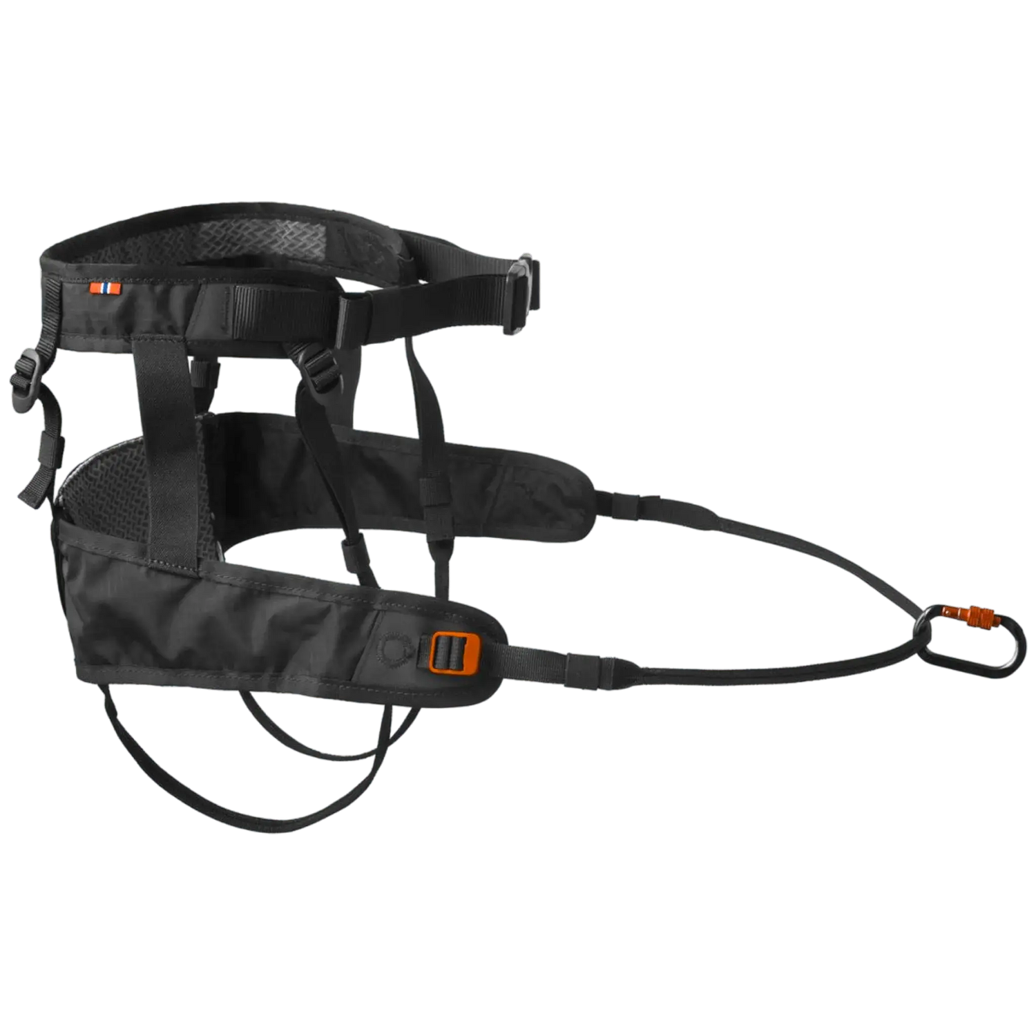 Dog running with CaniX Belt 2.0 hands free