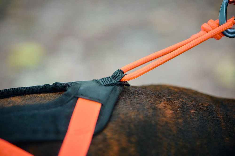 Non-stop Dogwear Rush Harness adjustable rope attachment