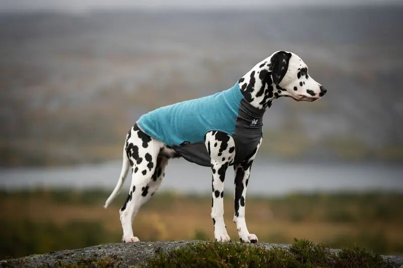 Non-stop Dogwear Trail quest fleece pullover breathable grid underbody detail