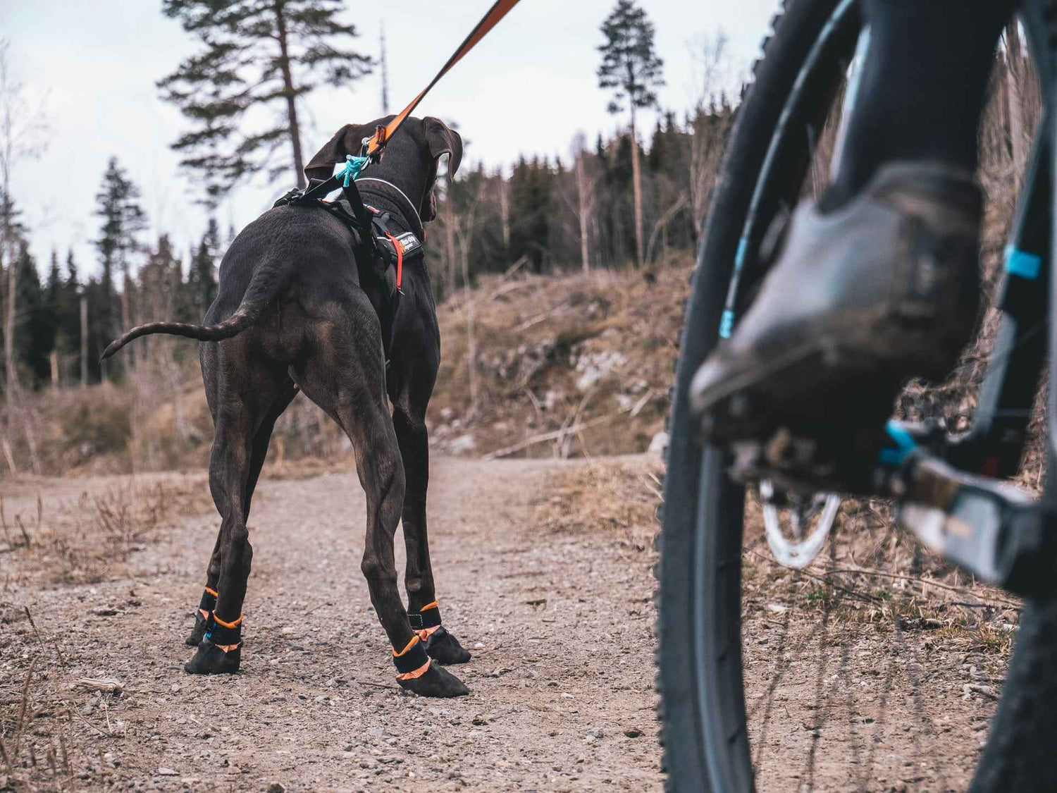 Non-stop dogwear Protector Booties - Dog Booties
