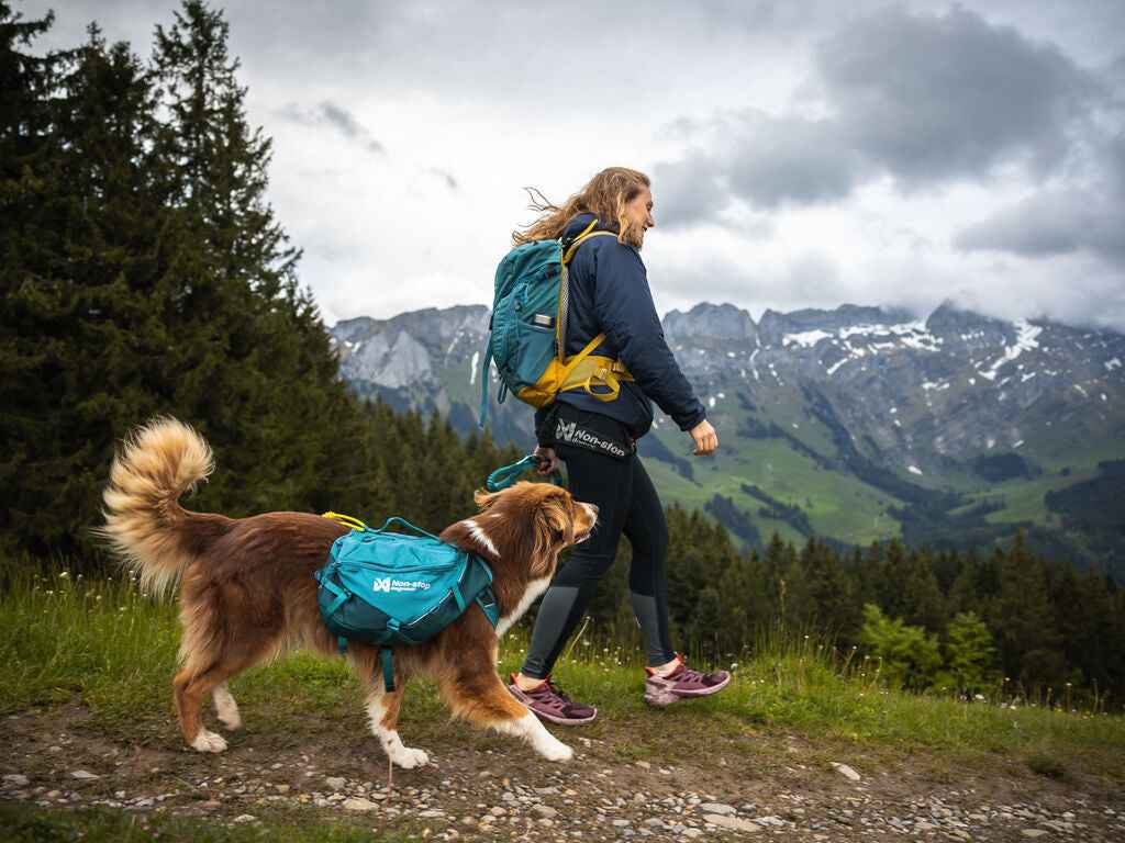 Dog wearing Non-stop dogwear Trail Quest Dog Backpack hiking alongside owner in mountain landscape, perfect for outdoor pet gear enthusiasts.