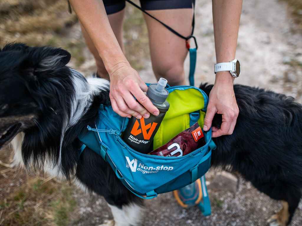 Close-up of Non-stop dogwear Trail Quest Dog Backpack showing storage of water bottle and snacks, highlighting its practical hiking design.
