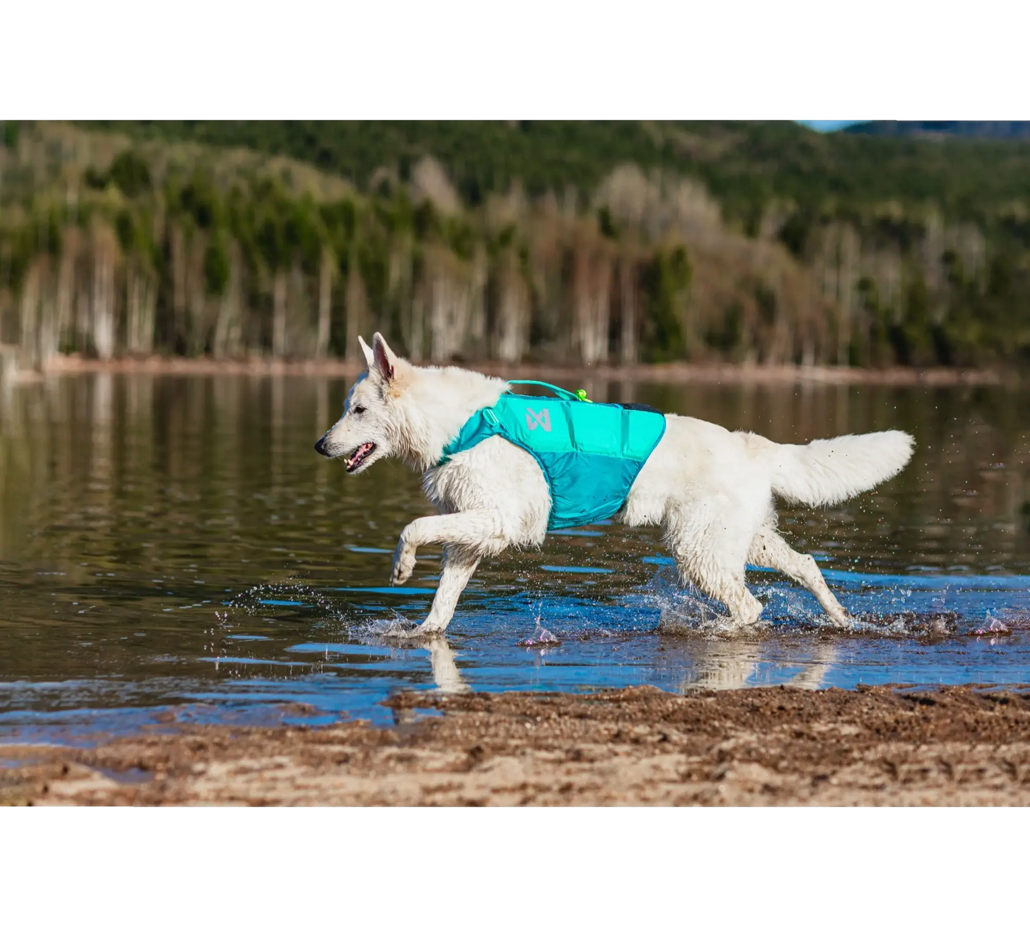Non-stop dogwear Protector life jacket - Teal