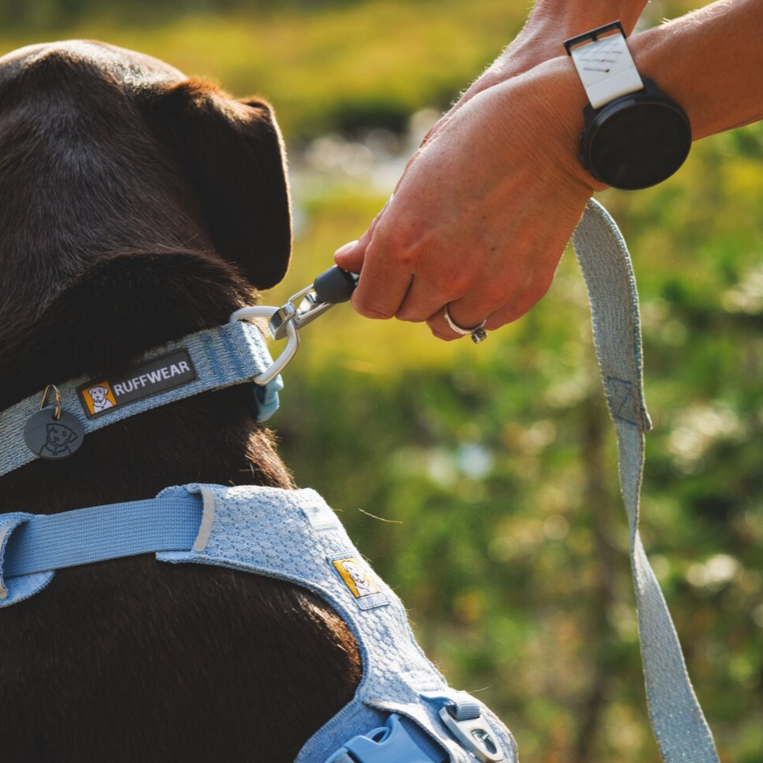 Ruffwear Front Range Flex Harness engineered knit fabric detail