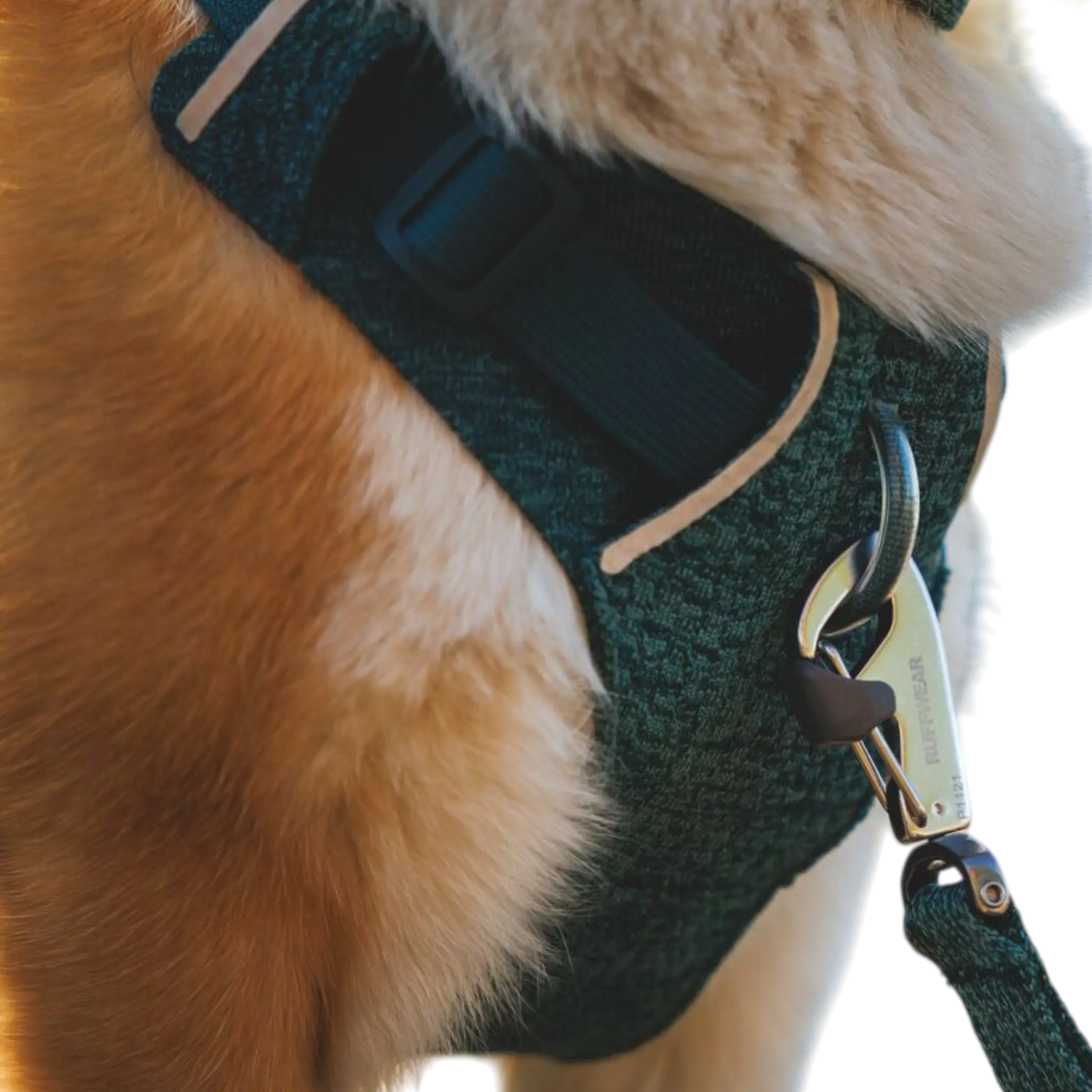 Ruffwear Front Range Flex Harness front leash attachment detail