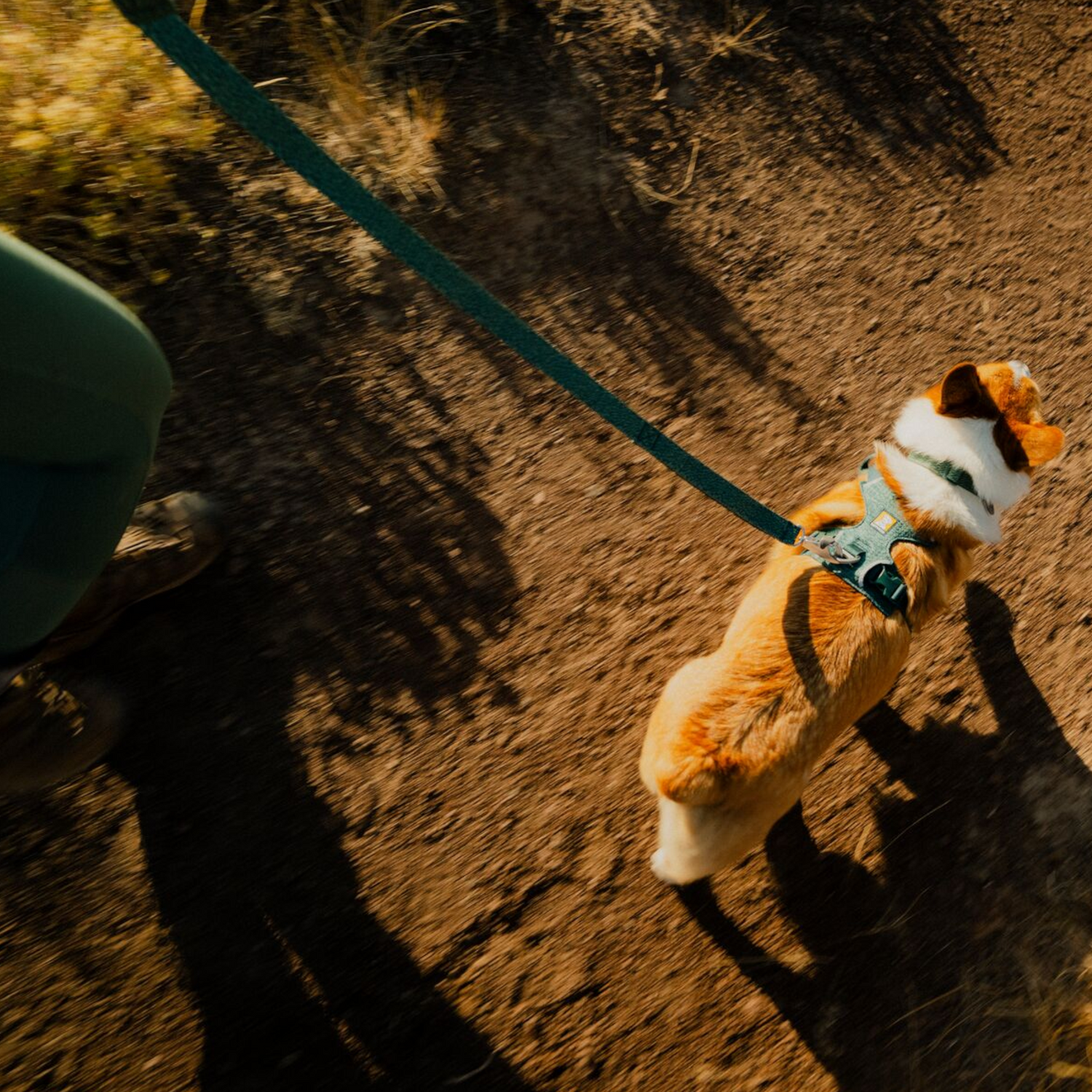 Ruffwear Front Range Flex Leash lifestyle image-2