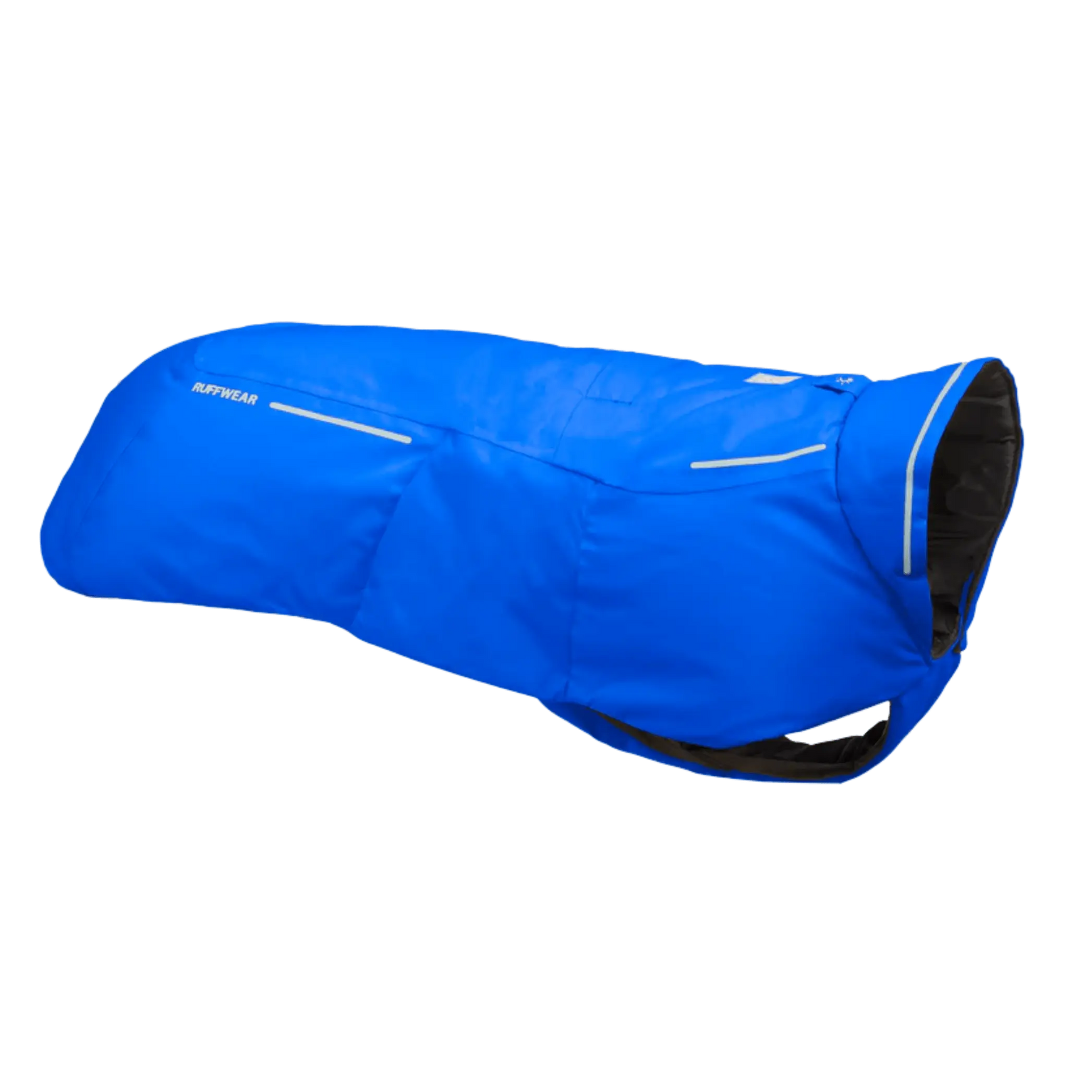 Blue dog coat with black interior on a white background