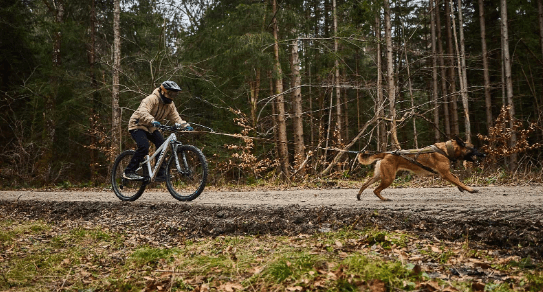 Non-stop dogwear Touring Bungee WD