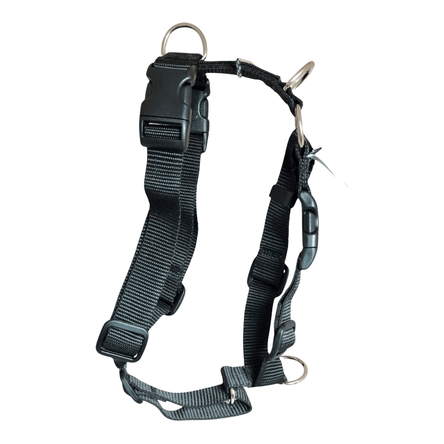 Tellington TTouch Harmony Harness adjustable dog harness