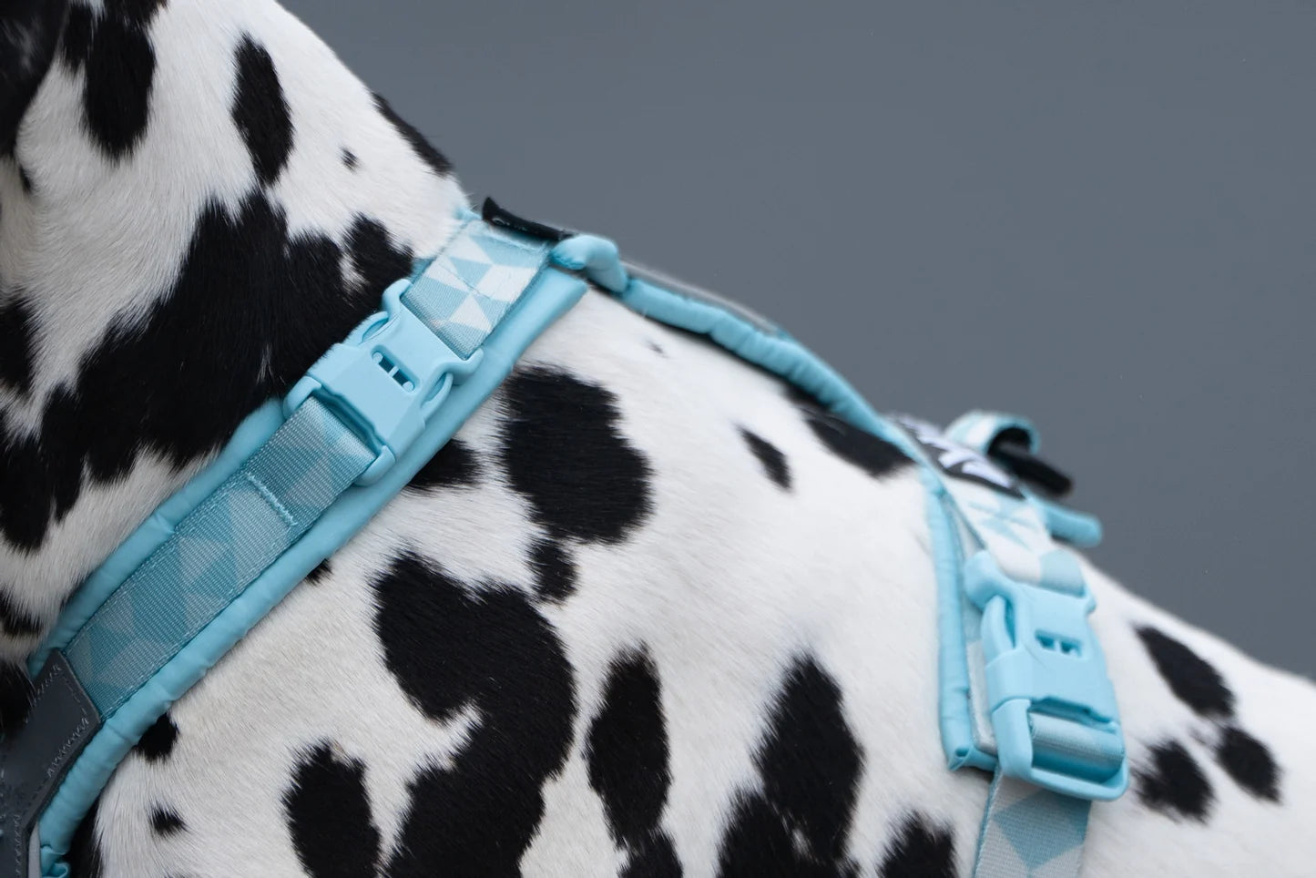 Non-stop dogwear Trekking Line Harness CLIP'N™