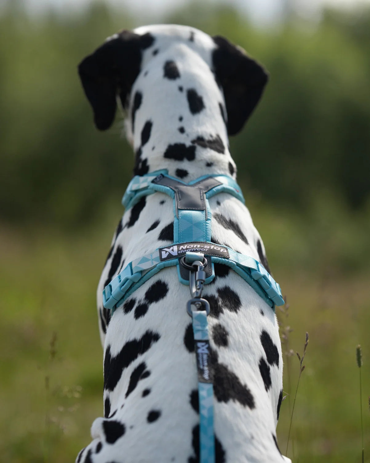 Non-stop dogwear Trekking Line Harness CLIP'N™