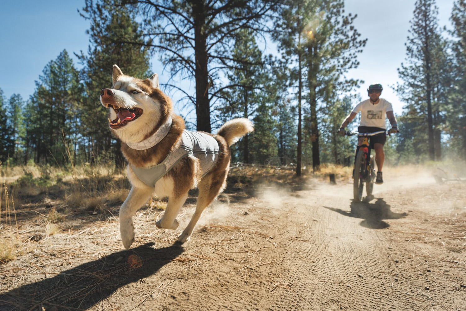 Ruffwear Swamp Cooler Zip™ Cooling Dog Vest Ruffwear