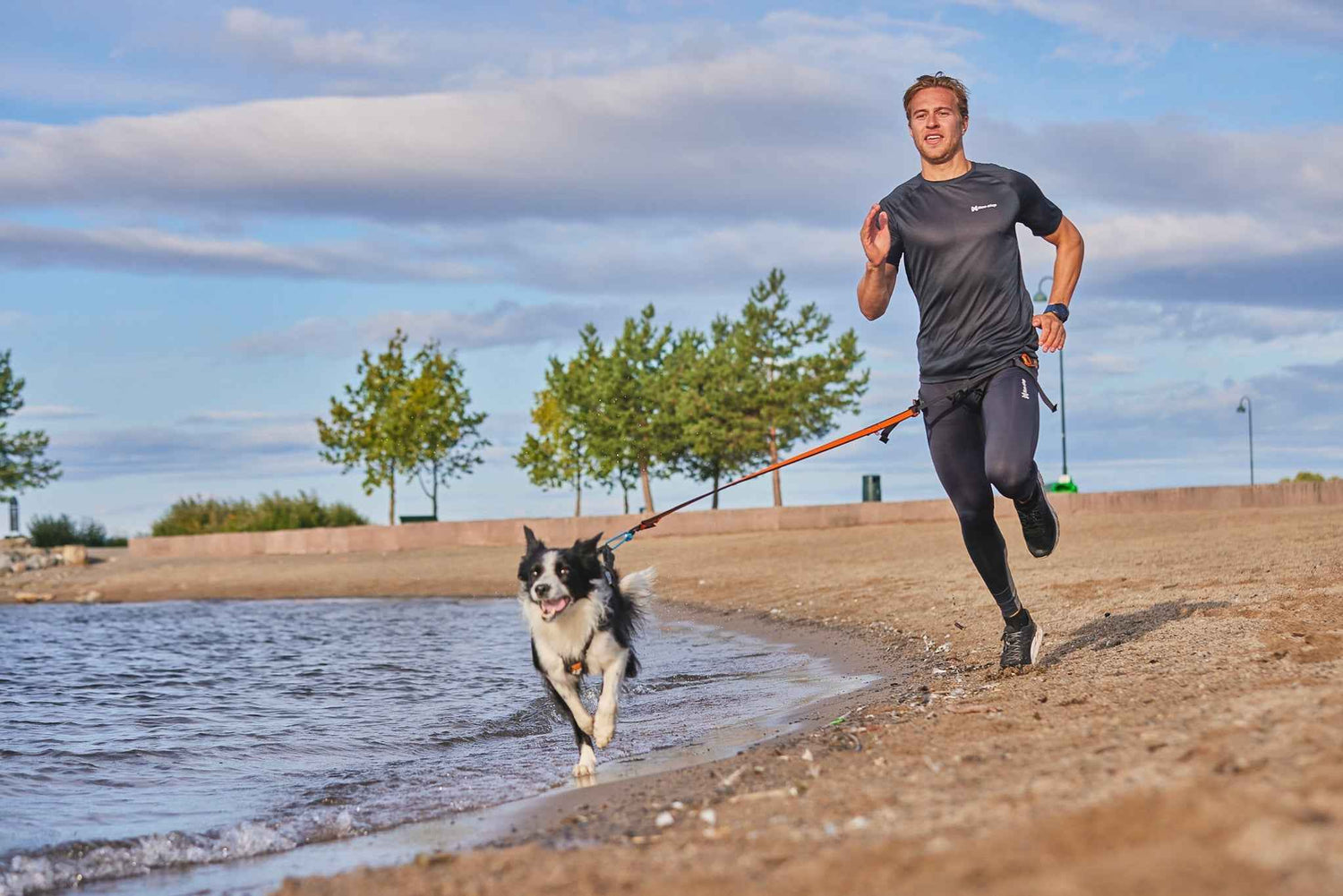 Man running on beach with Border Collie using Orange/Black Non-stop Dogwear Bungee Leash, perfect for active dog sports and canicross.