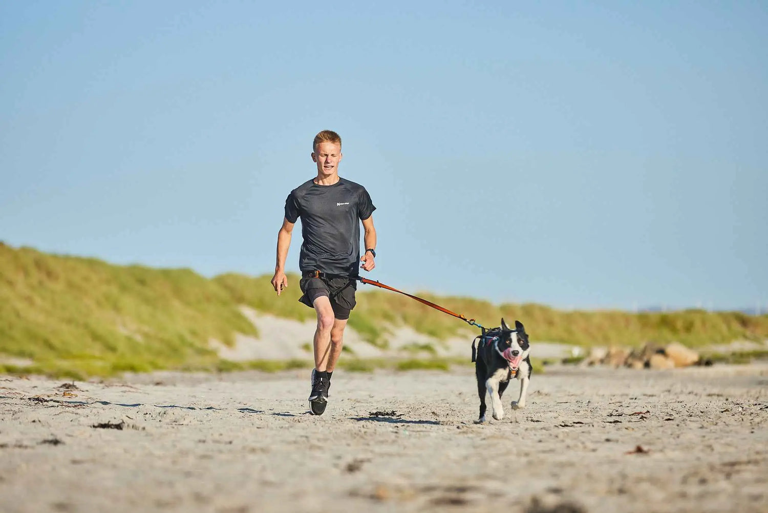 Man jogging on sandy beach with dog using Non-stop Dogwear Bungee Leash, ideal for running, hiking, and outdoor dog sports.