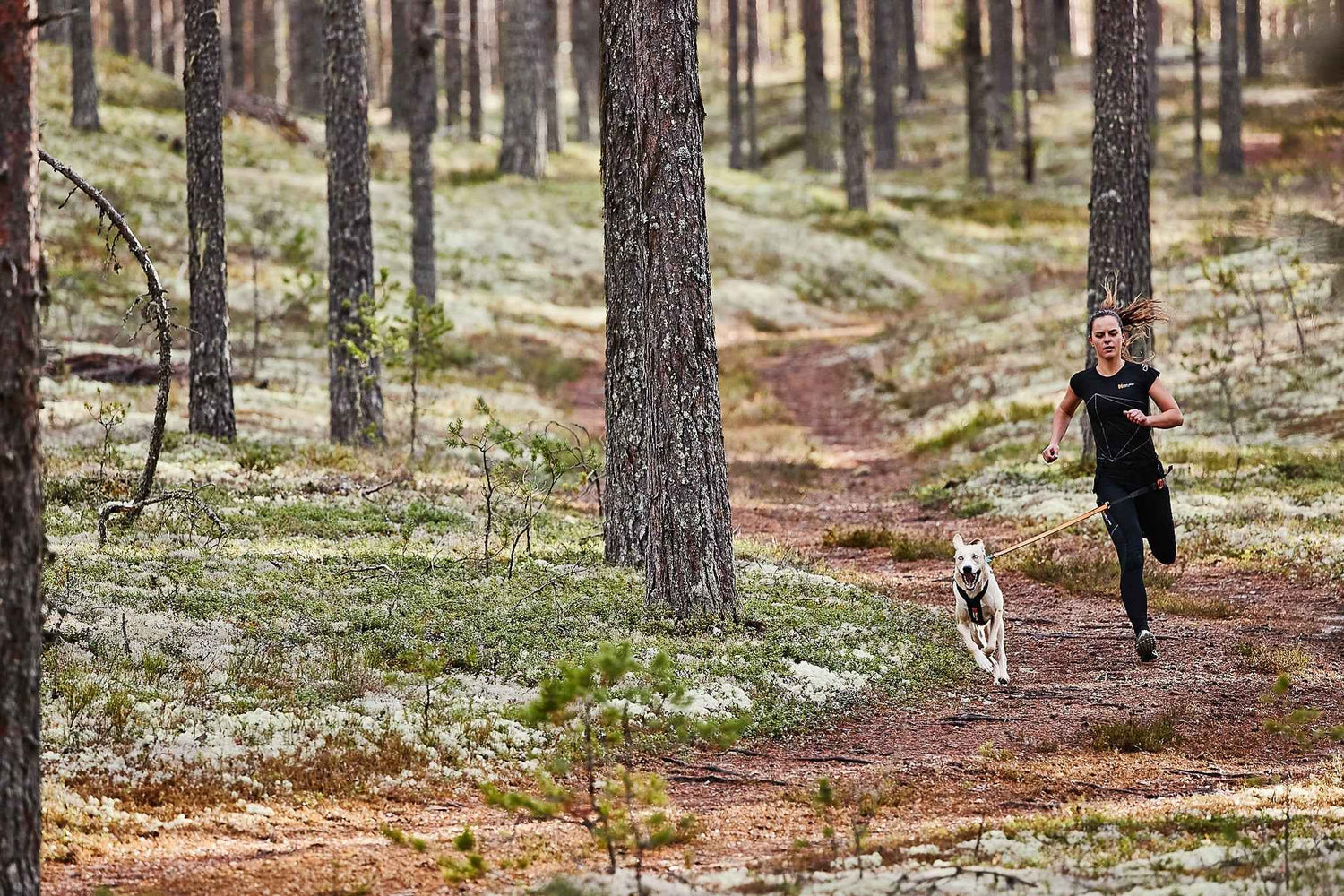 Runner in forest using Non-stop Dogwear Bungee Leash with white dog, shock-absorbing lead for enhanced control during outdoor activities.