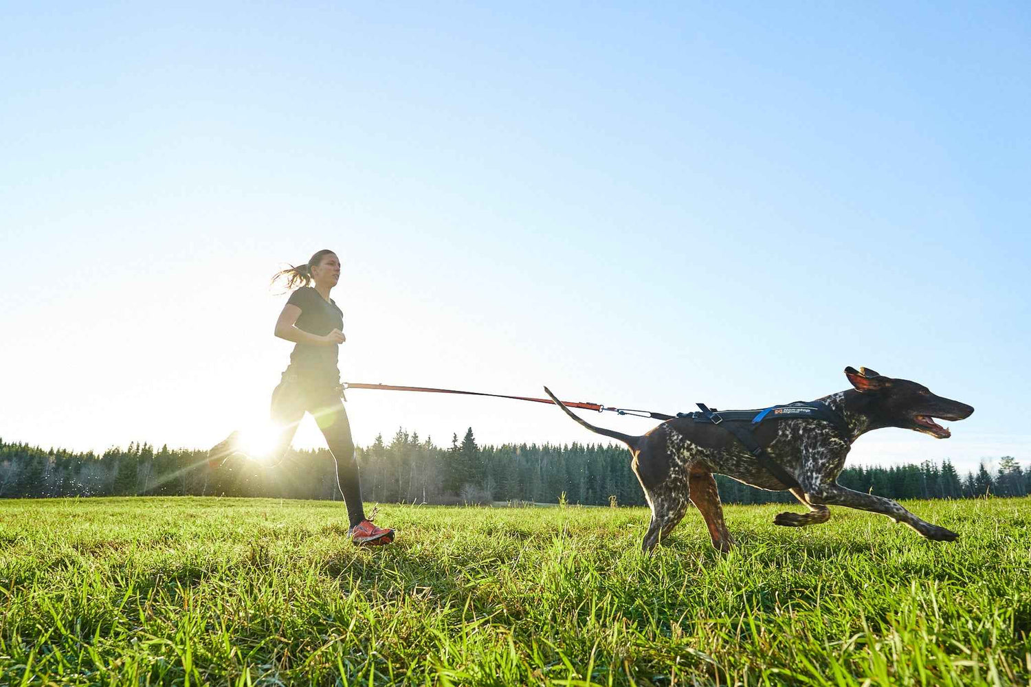 Woman running in open field with dog using Non-stop Dogwear Bungee Leash, designed for shock absorption and active pet adventures.