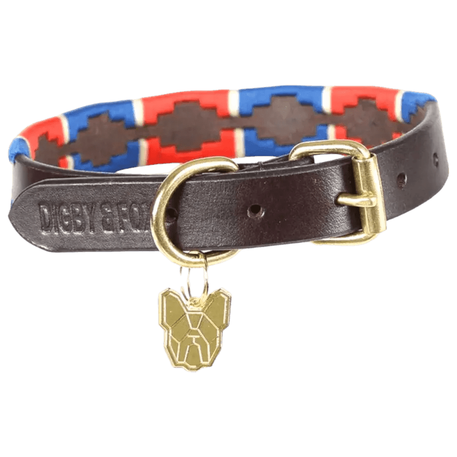 Digby & Fox Drover Polo Dog Collar