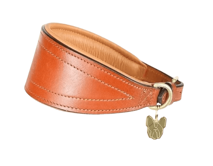 Digby & Fox Padded Greyhound Collar