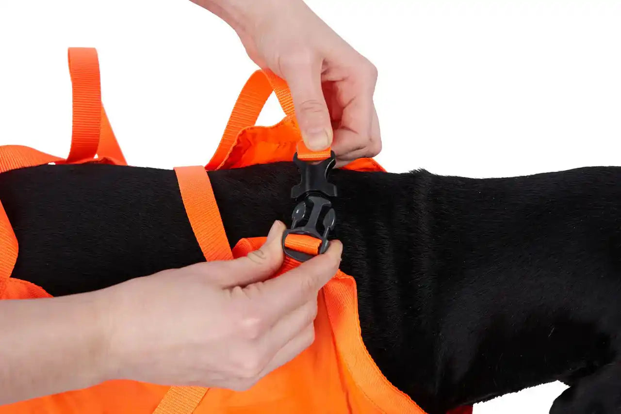 Person adjusting an orange and black dog rescue sling on a white background