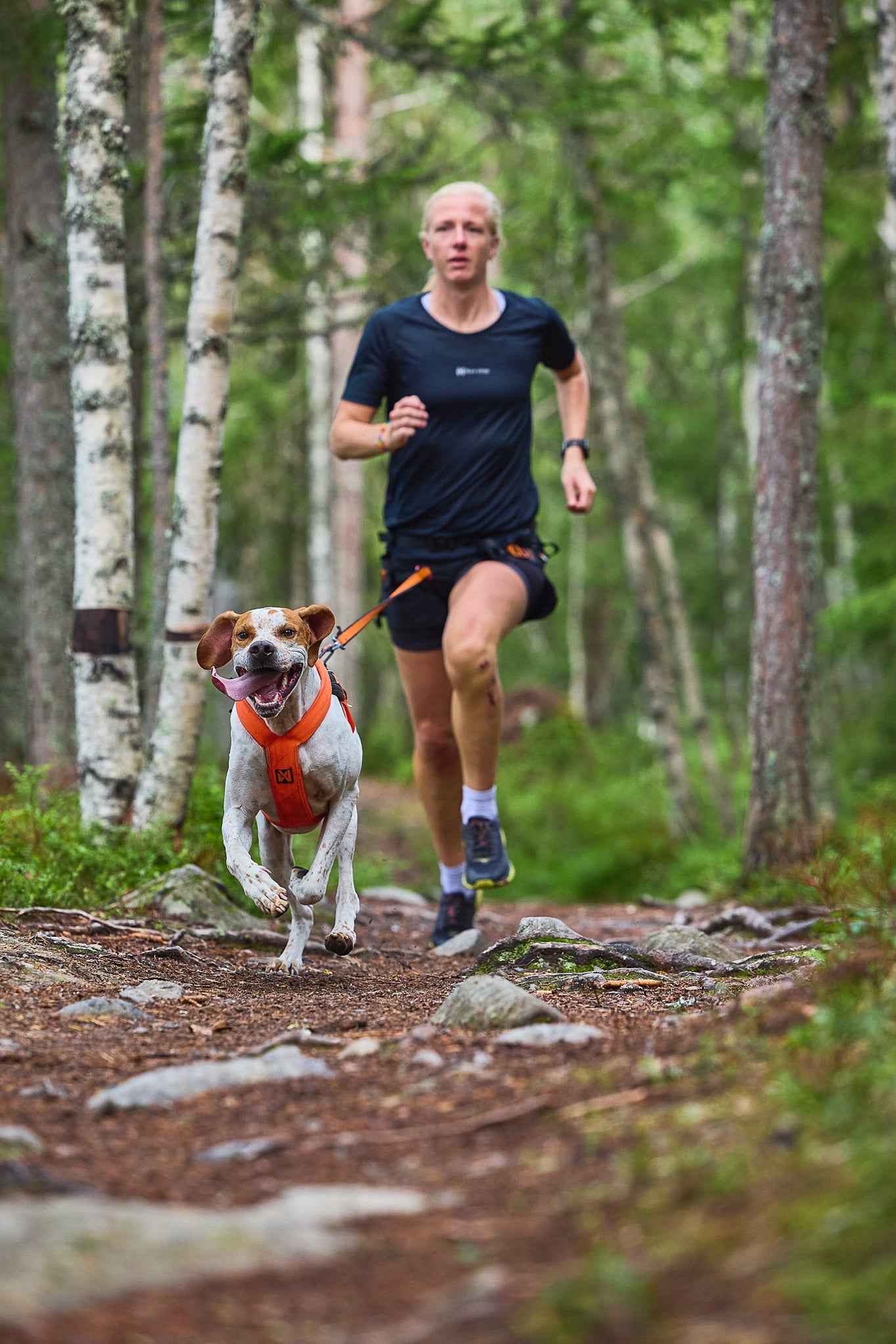 non-stop dogwear freemotion harness 5.0