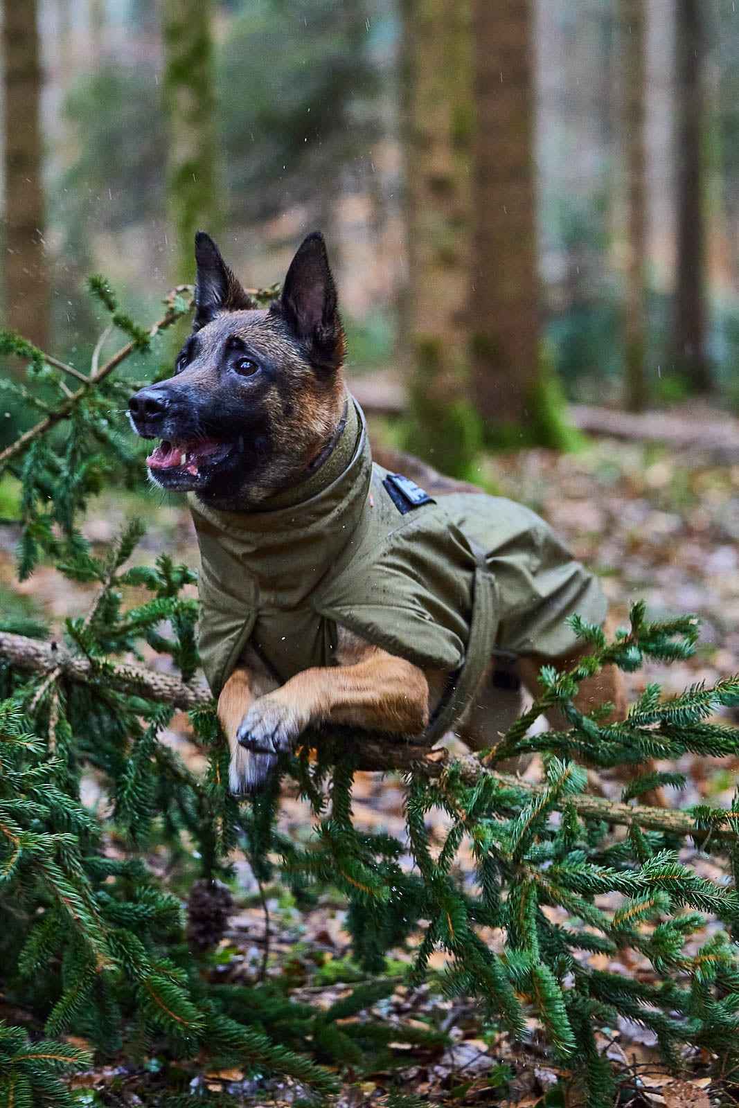 Non-stop dogwear Glacier Dog Jacket WD