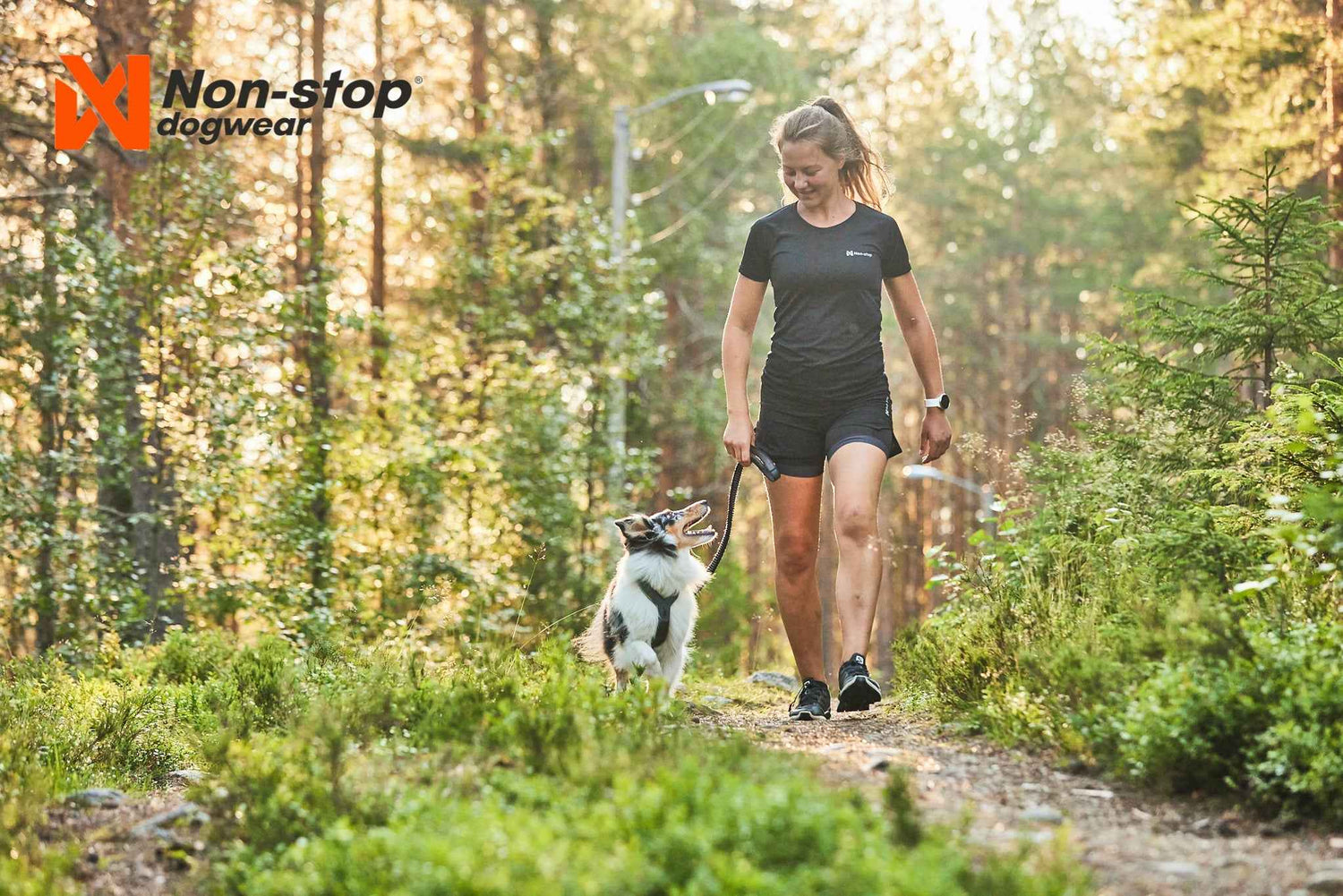 non-stop dogwear line harness 5.0